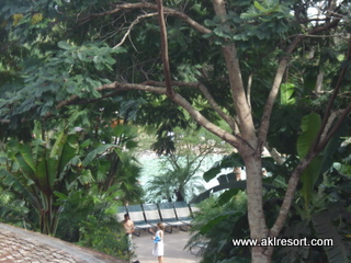 View of pool area 1